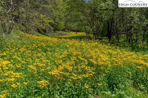 814 Roundabout Rd, Creston, NC 28615 photo 4