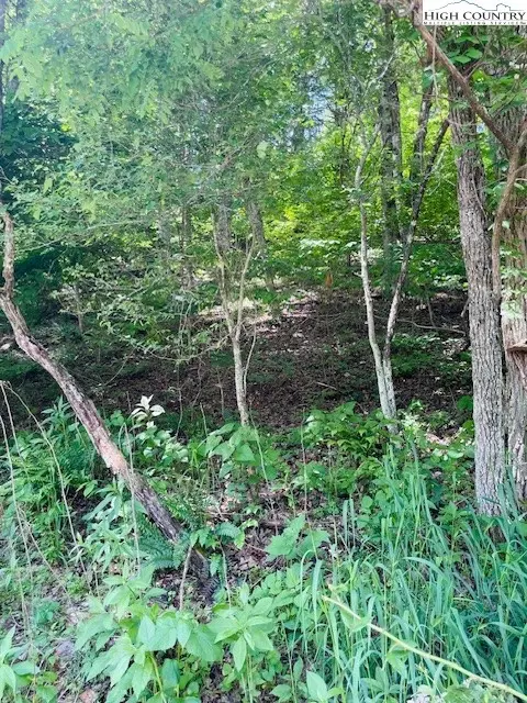 tbd Bent River Dr, Lansing, NC 28643 photo 13