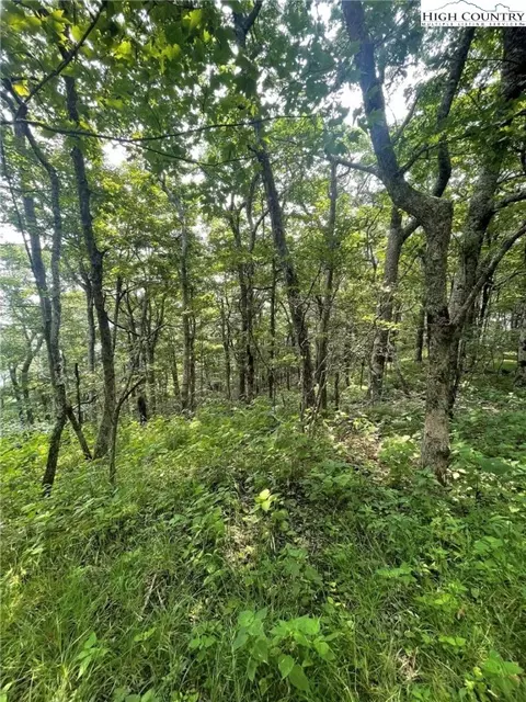 Tbd Rousseau Farm Road, Wilkesboro, NC 28697