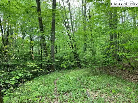 59 Rhoneys View Road, Newland, NC 28657