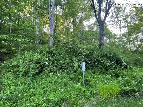tbd Buckeye Creek Rd, Beech Mountain, NC 28604 photo 2