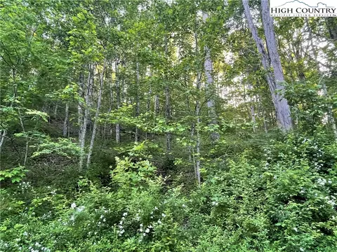 tbd Buckeye Creek Rd, Beech Mountain, NC 28604 photo 3