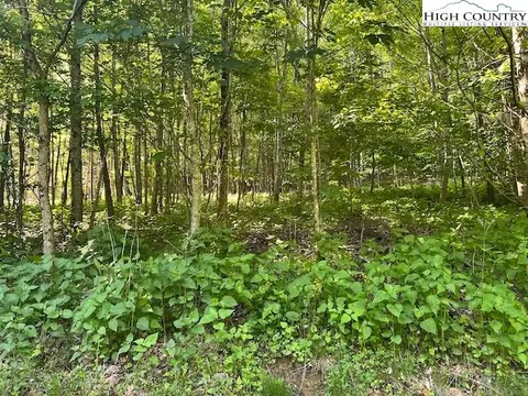 tbd Rayfield Rd, Boone, NC 28607 photo 15