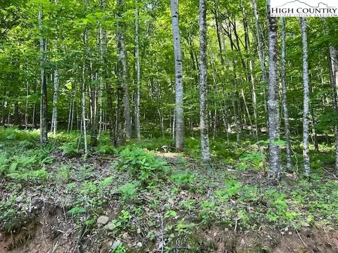 tbd Rayfield Rd, Boone, NC 28607 photo 14