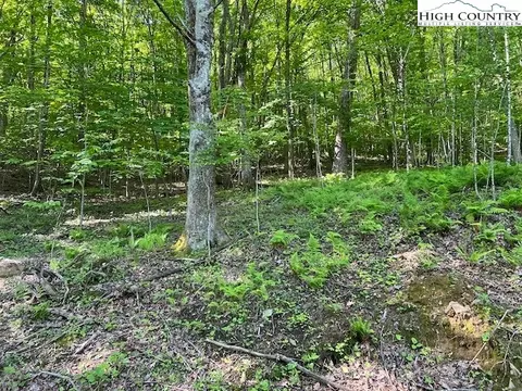 tbd Rayfield Rd, Boone, NC 28607 photo 13