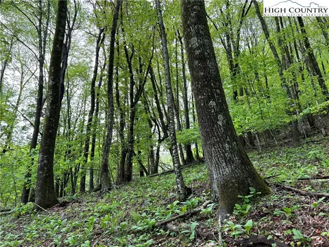 tbd Rayfield Rd, Boone, NC 28607 photo 5