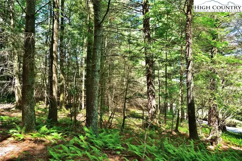 tbd Troon Ave #2A, Roaring Gap, NC 28668 photo 11