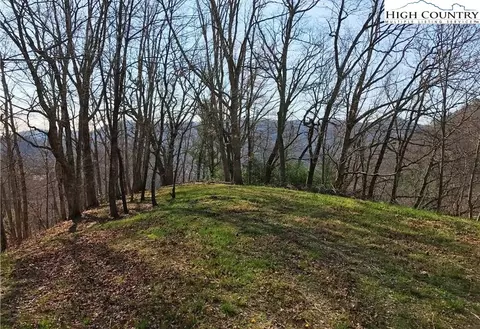 60 Farm View Drive, Vilas, NC 28692