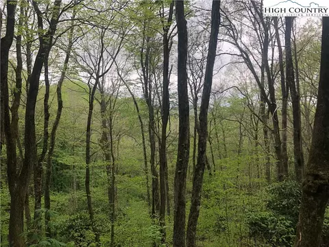 tbd Big Windfall Rd, Lansing, NC 28643
