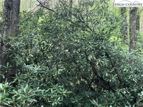 tbd Big Windfall Rd, Lansing, NC 28643 photo 5