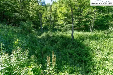 tbd E Big Springs Rd, Lansing, NC 28643 photo 13