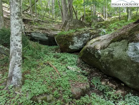143 Ash, Boone, NC 28607 photo 6
