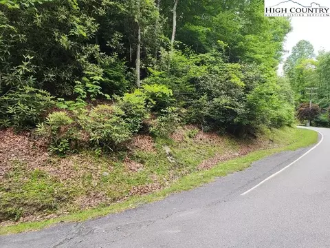 606 Pinnacle Ridge Rd, Beech Mountain, NC 28604 photo 4