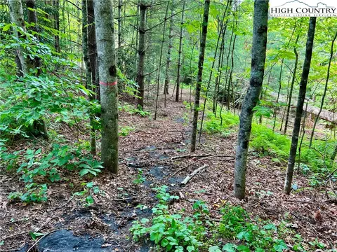 000 Crabtree Woods Rd, Spruce Pine, NC 28777