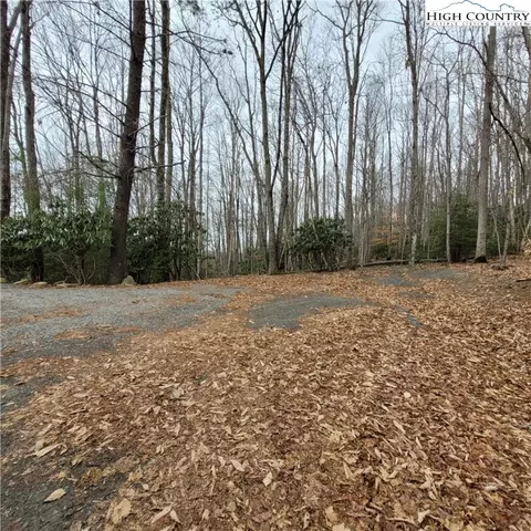 262 Poplar Rd And 106 Cedar Ln, Beech Mountain, NC 28604 photo 13