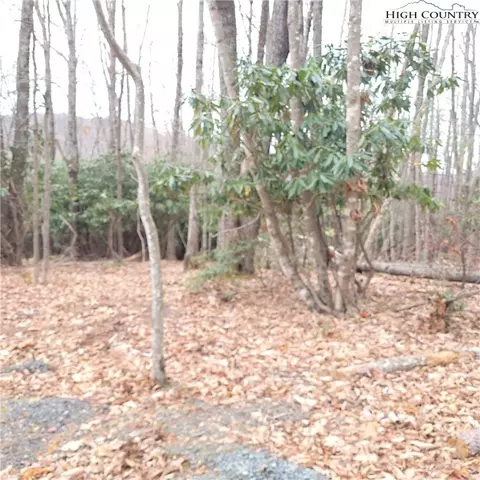 262 Poplar Rd And 106 Cedar Ln, Beech Mountain, NC 28604 photo 8