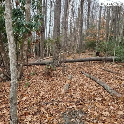 262 Poplar Rd And 106 Cedar Ln, Beech Mountain, NC 28604 photo 10