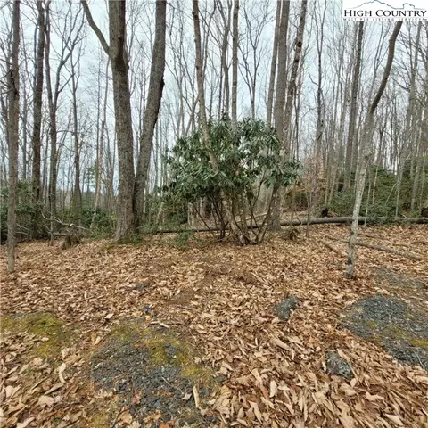 262 Poplar Rd And 106 Cedar Ln, Beech Mountain, NC 28604 photo 7