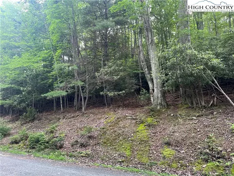 262 Poplar Rd And 106 Cedar Ln, Beech Mountain, NC 28604 photo 3