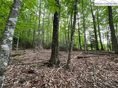 262 Poplar Rd And 106 Cedar Ln, Beech Mountain, NC 28604 photo 4