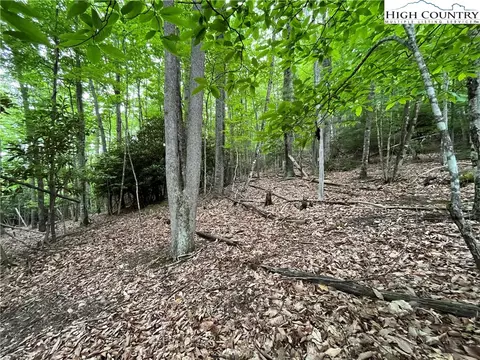 262 Poplar Rd And 106 Cedar Ln, Beech Mountain, NC 28604 photo 6