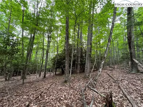 262 Poplar Rd And 106 Cedar Ln, Beech Mountain, NC 28604 photo 5
