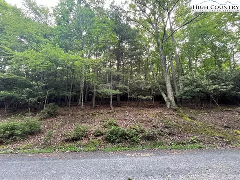262 Poplar Rd And 106 Cedar Ln, Beech Mountain, NC 28604