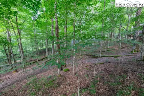 907 Charter Hills Rd, Beech Mountain, NC 28604
