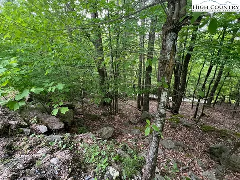 119 Jackpine Rd, Beech Mountain, NC 28604 photo 8