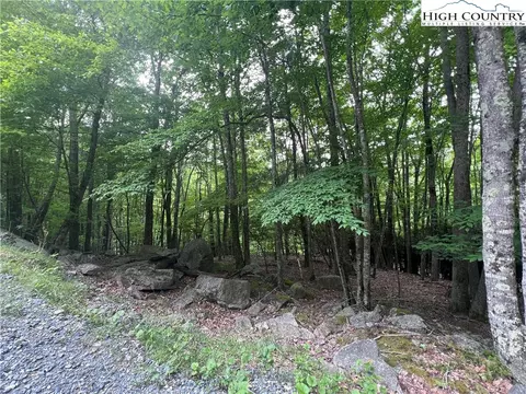 119 Jackpine Rd, Beech Mountain, NC 28604 photo 6