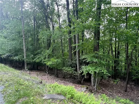 115 Cherrybrook Ln, Beech Mountain, NC 28604 photo 5