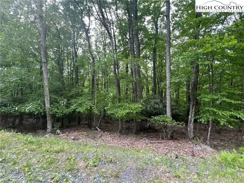 115 Cherrybrook Ln, Beech Mountain, NC 28604 photo 6
