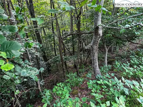 tbd Algonquin Dr, Boone, NC 28607 photo 8