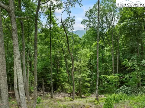 6964 Beech Mountain Road, Elk Park, NC 28622