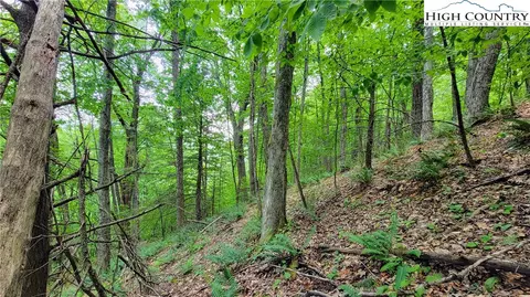 211 Immaculate Heart, Lansing, NC 28643 photo 6