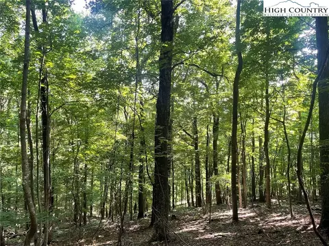 10 Fox Grape Ln, West Jefferson, NC 28694