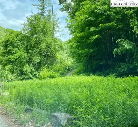 Tbd Little Cow Camp Road, Newland, NC 28657