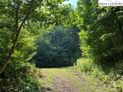 tbd Spring Mountain Trl, Boone, NC 28607 photo 10