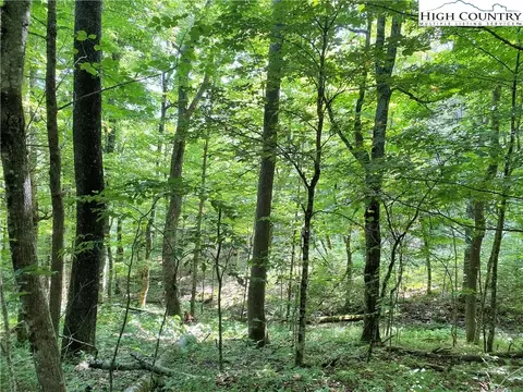 tbd Spring Mountain Trl, Boone, NC 28607 photo 5