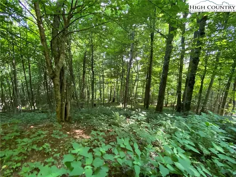 tbd Spring Mountain Trl, Boone, NC 28607 photo 6