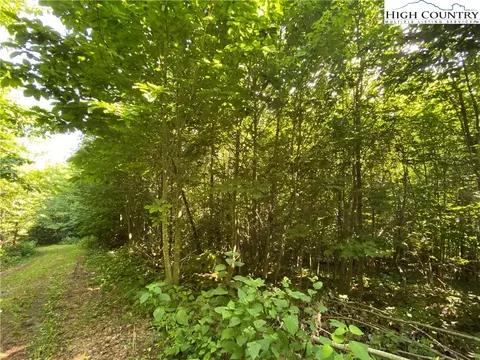tbd Spring Mountain Trl, Boone, NC 28607 photo 12