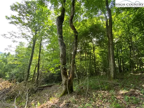 tbd Spring Mountain Trl, Boone, NC 28607 photo 8