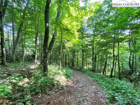 tbd Spring Mountain Trl, Boone, NC 28607 photo 3