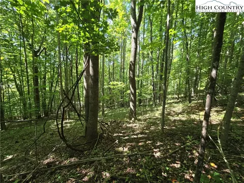 lot34 Walter Dr, West Jefferson, NC 28694
