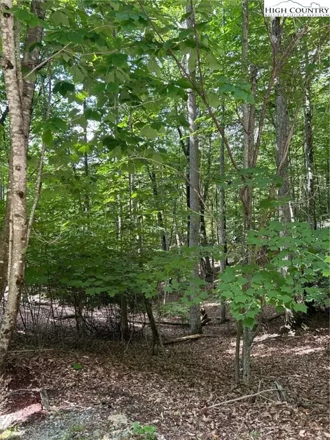 102 Ivy Ln, Beech Mountain, NC 28604