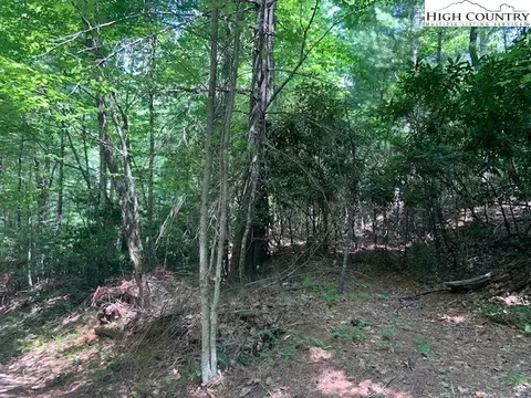 tbd Lower Nettleknob Rd, West Jefferson, NC 28694