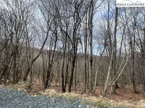 116 Aster Trl, Beech Mountain, NC 28604 photo 4