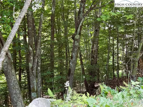 116 Aster Trl, Beech Mountain, NC 28604 photo 6