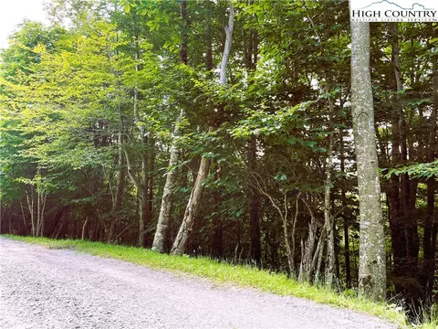 116 Aster Trl, Beech Mountain, NC 28604 photo 3
