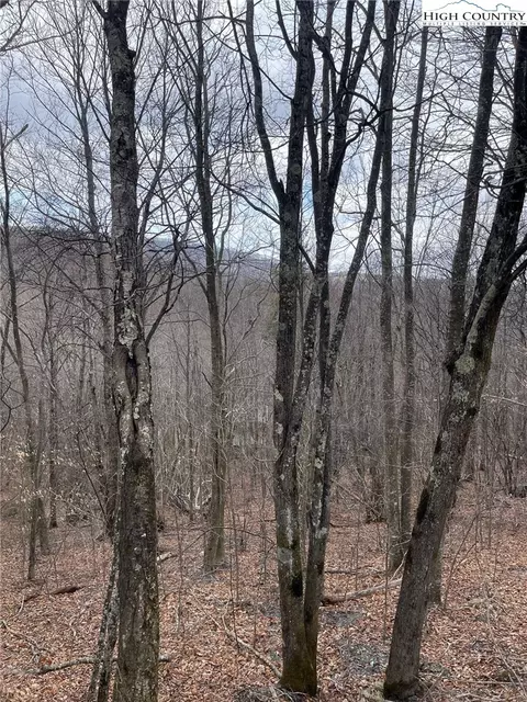 116 Aster Trl, Beech Mountain, NC 28604 photo 2